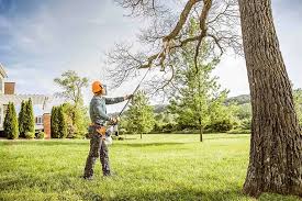 How Our Tree Care Process Works  in  Pulaski, WI